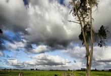 华体会体育：[法甲]巴黎圣日耳曼不急于引进新援.